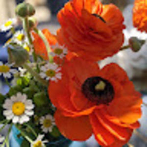 Meet your Posher, Beth